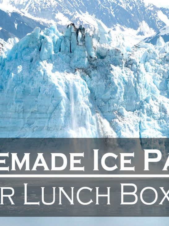 Homemade Ice Packs for Lunch Boxes