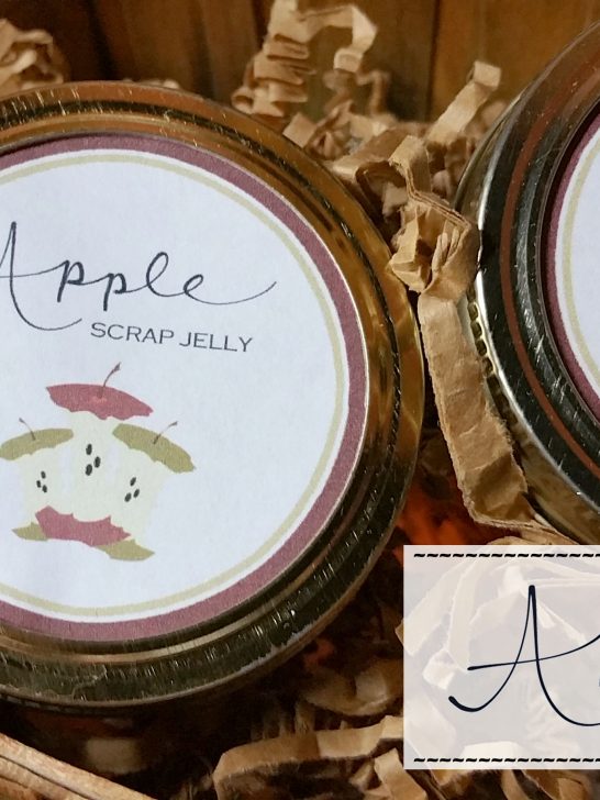 Apple Scrap Jelly Recipe