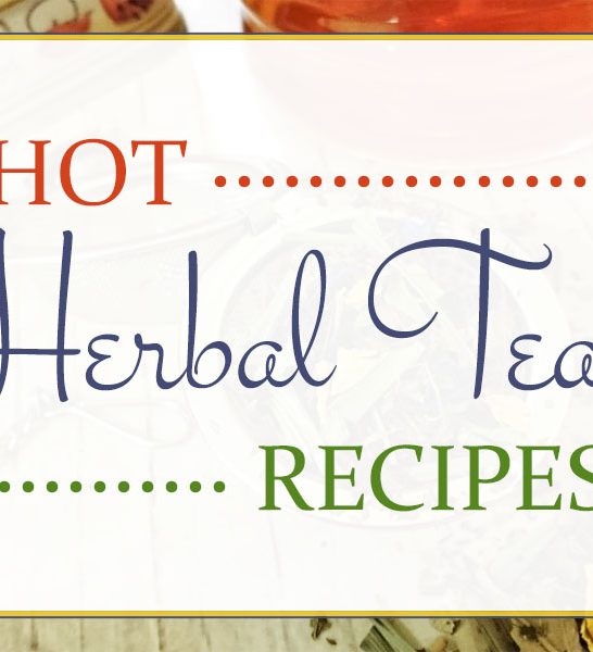 Hot Herbal Tea Mix Recipes that You Can Make at Home!