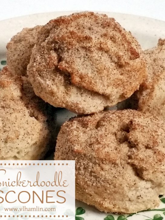 Snickerdoodle Scones: Ready in 20 Minutes!