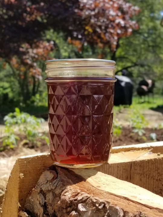 Dandelion Honey Syrup Recipe