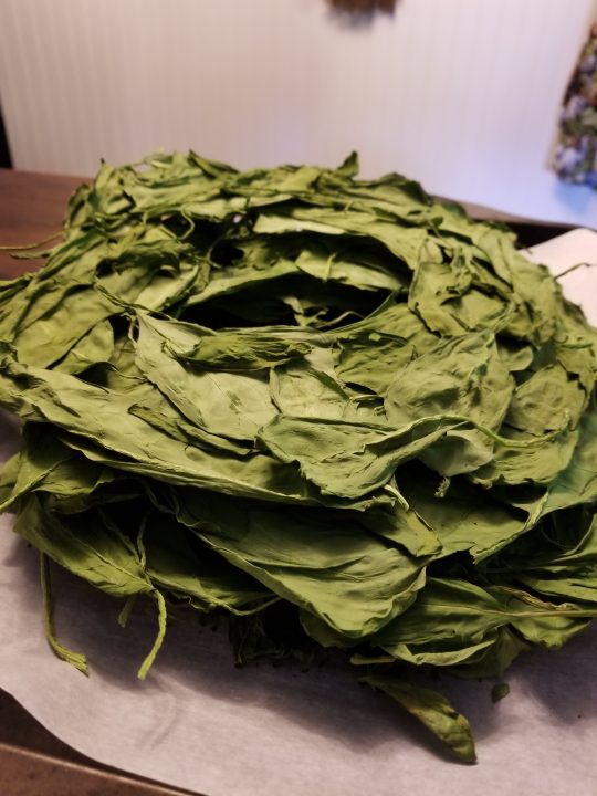How to Dehydrate Spinach