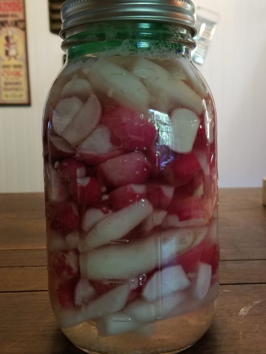 How to Ferment Radishes