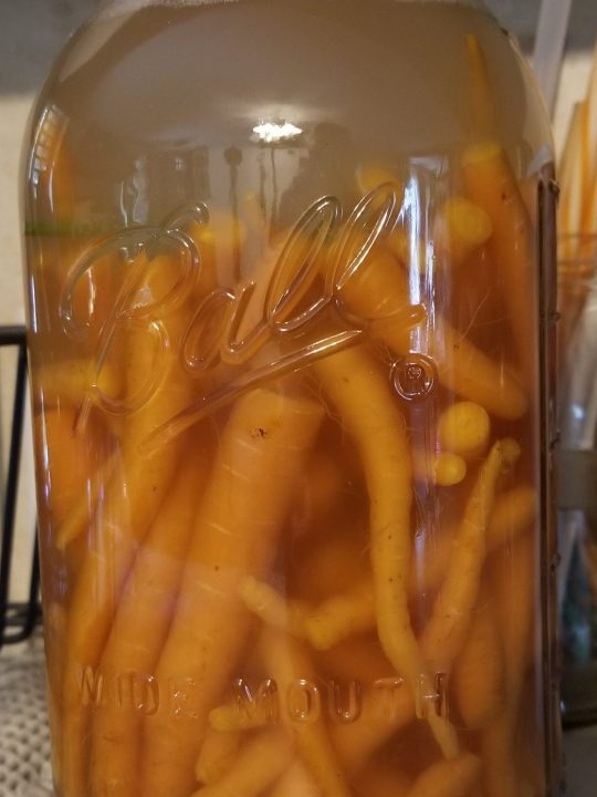 How to Ferment Carrots