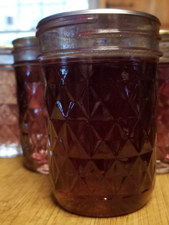 Day Lily Syrup Recipe with a Secret Ingredient!