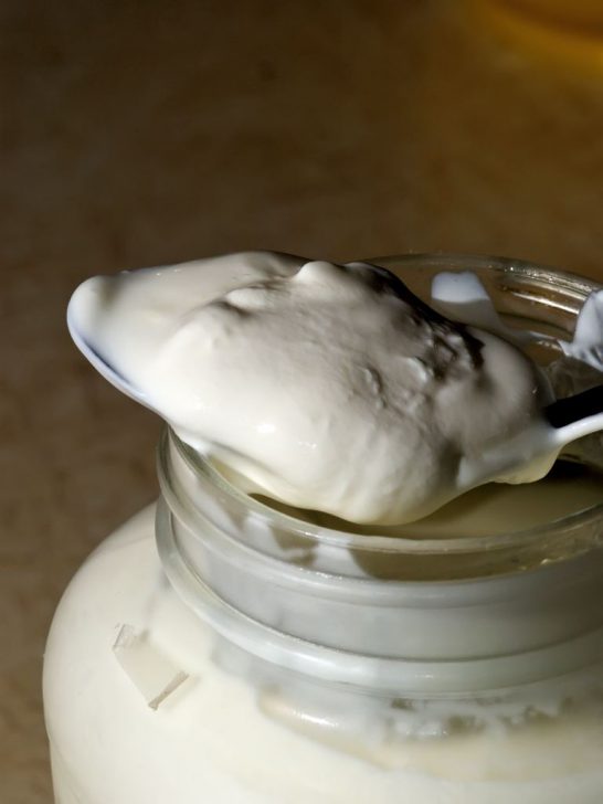Homemade Vanilla Yogurt