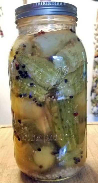 Homemade Garlic Dill Pickles – No Canning Required!